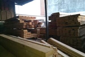 A. L. F. Maderas (de M. C. Zamudio)