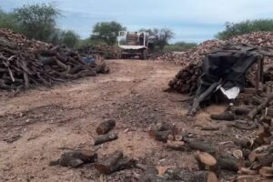 Acopio de e&ntilde;a LeonL