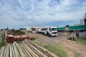 AGRASO MADERAS Roldan &ndash; PUERTO ROSARIO