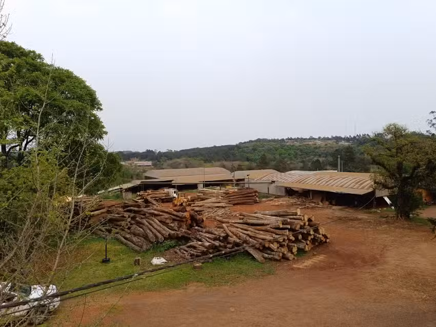 Agro Forestal Soldini