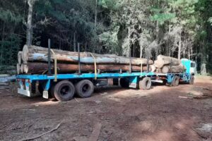 Agroforestal Alto Uruguay