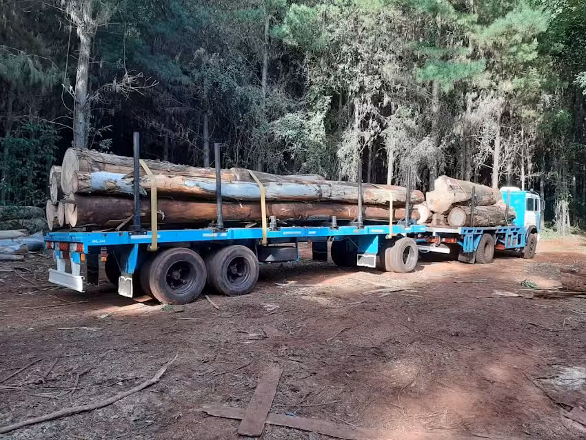 Agroforestal Alto Uruguay