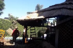 Amadeo &ndash; Todo Quincho P&eacute;rgola y Dek