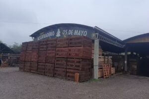 Aserradero 25 de Mayo