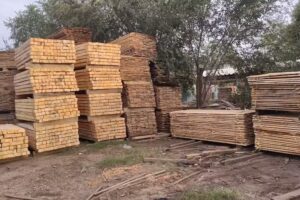 Aserradero Andr&eacute;s Blotta