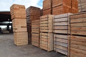 Aserradero C&E Maderas