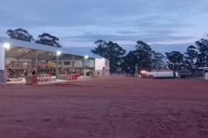 Aserradero CarPal SA