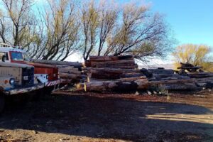 Aserradero “Costa”