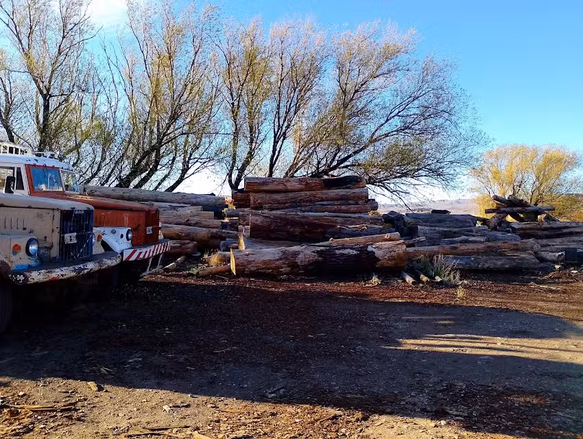 Aserradero &ldquo;Costa&rdquo;