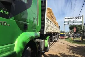 Aserradero del litoral