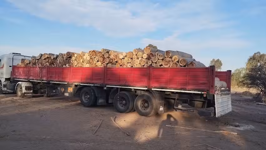 Aserradero D&iacute;az