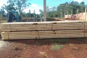 Aserradero Don Camilo