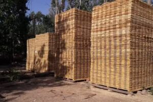 Aserradero Don Nicola srl