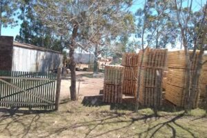 ASERRADERO DON RAMON S.R.L.