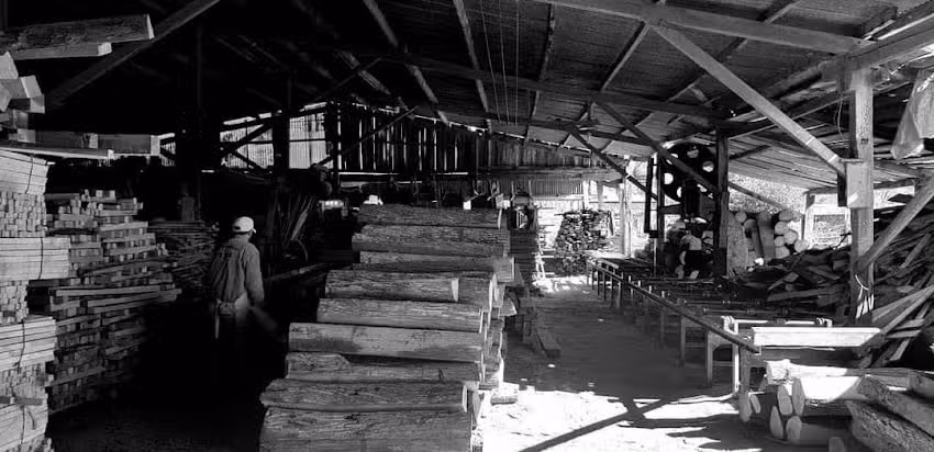 Aserradero Don Tomas