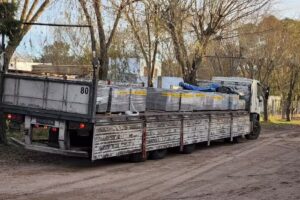 Aserradero El Aleman