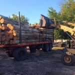 Aserradero El Litoral