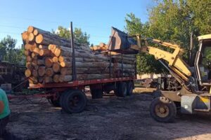 Aserradero El Litoral