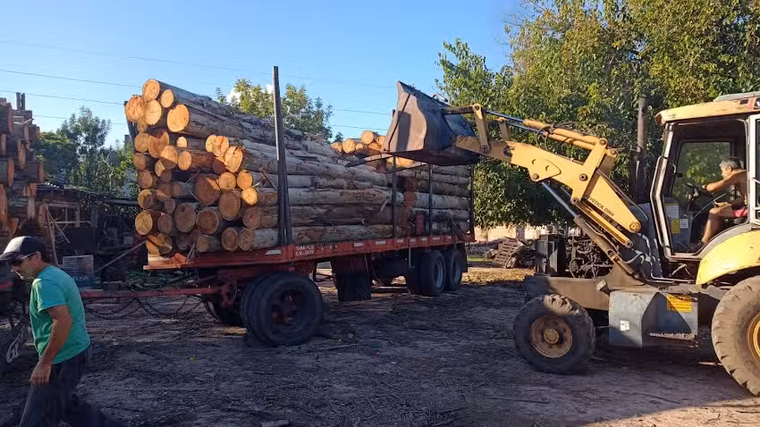 Aserradero El Litoral