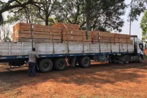 Aserradero El Solitario