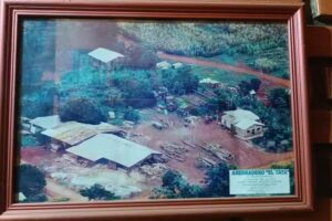 Aserradero “EL TATA” de Pablo Kosciukiewicz