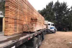 Aserradero Follonier