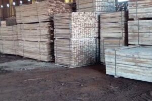 Aserradero Foresta San Jose SRL