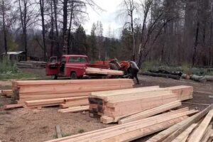 Aserradero golondrinas