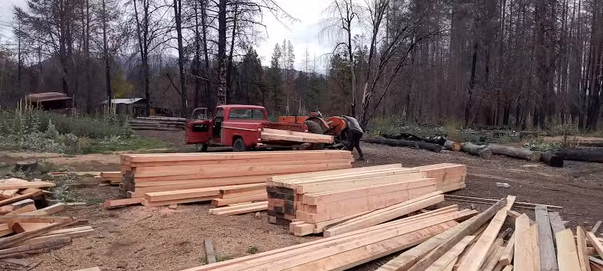 Aserradero golondrinas