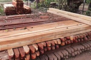 Aserradero Guillermo Rodriguez Maderas