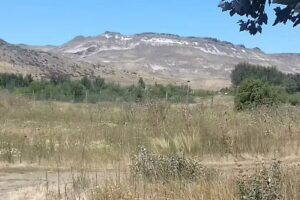 Aserradero huenchulafquen