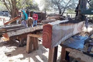 Aserradero La Forestal Santiague&ntilde;a