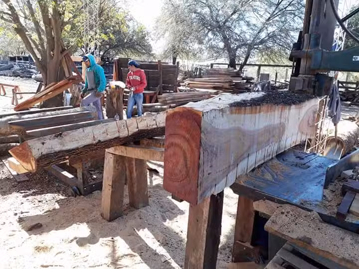 Aserradero La Forestal Santiague&ntilde;a