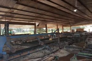 Aserradero Linkel Maderas