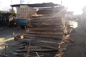 Aserradero “Los Cholos”