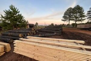 Aserradero Madeselsrl