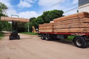 Aserradero Nuevo Puerto