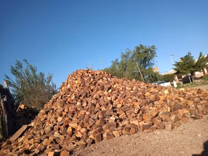 Aserradero Pancho Soria