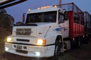 Aserradero &ldquo;Playita Federaci&oacute;n&rdquo;