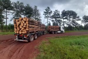 Aserradero Puerta de Misiones