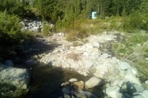 Aserradero ruta 40 epuyen