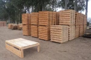 Aserradero San Jose srl