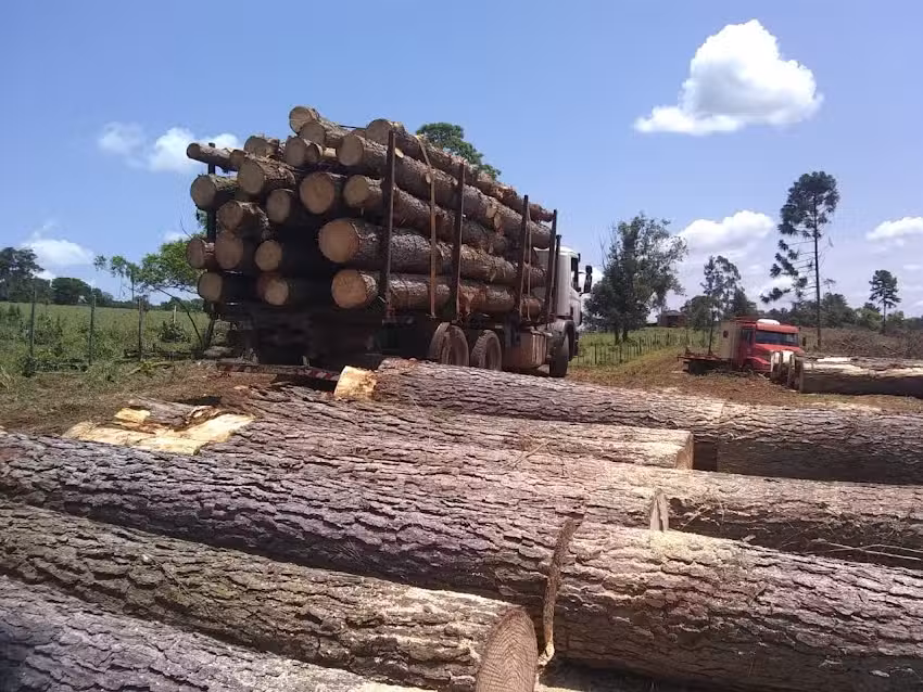 Aserradero &ldquo;San Miguel&rdquo;