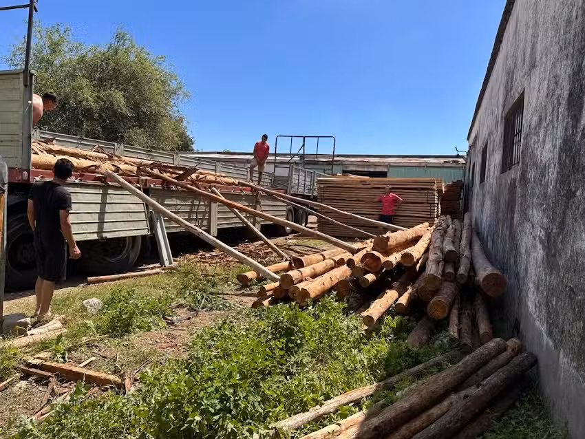 Aserradero San Vicente 2