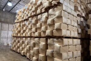 Aserradero Sauer S.R.L.