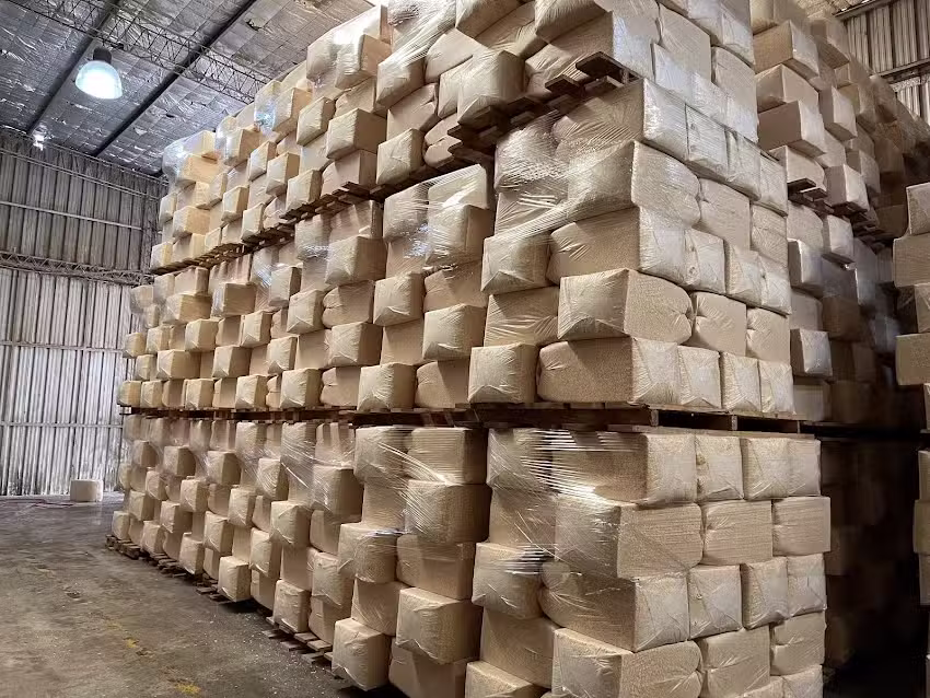 Aserradero Sauer S.R.L.