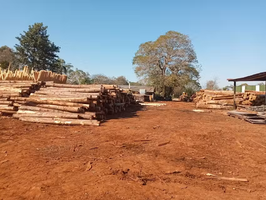 Aserradero Schmechel