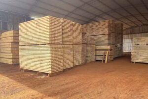 Aserradero Schonwald