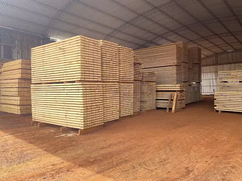 Aserradero Schonwald