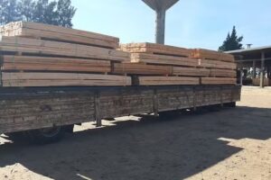 Aserradero Tierra Colorada